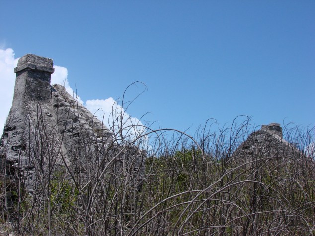 Wells Plantation Ruins