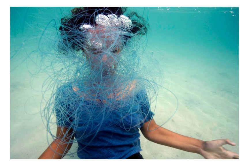 fishing linescribble-cooper